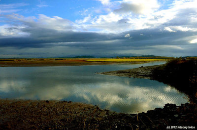 Wetlands - Fern Ridge Wildlife Area