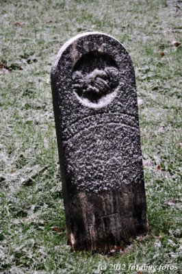 _ND31895.JPG