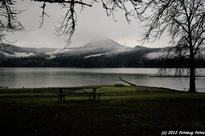 _ND31917.JPG