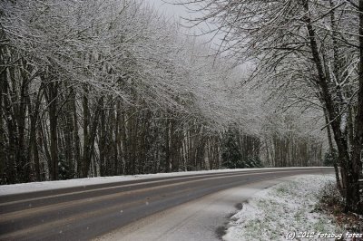 _ND32076.JPG