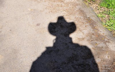 Just Me and My Shadow...Well, Shadow Anyway!