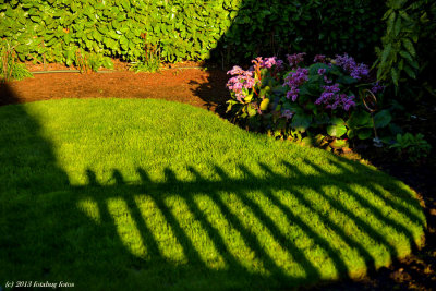Springtime at Home