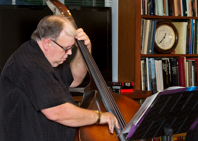 9870-Upright-Bass-Player
