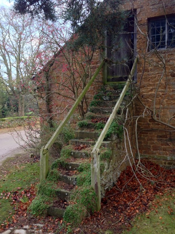 Untrodden steps...