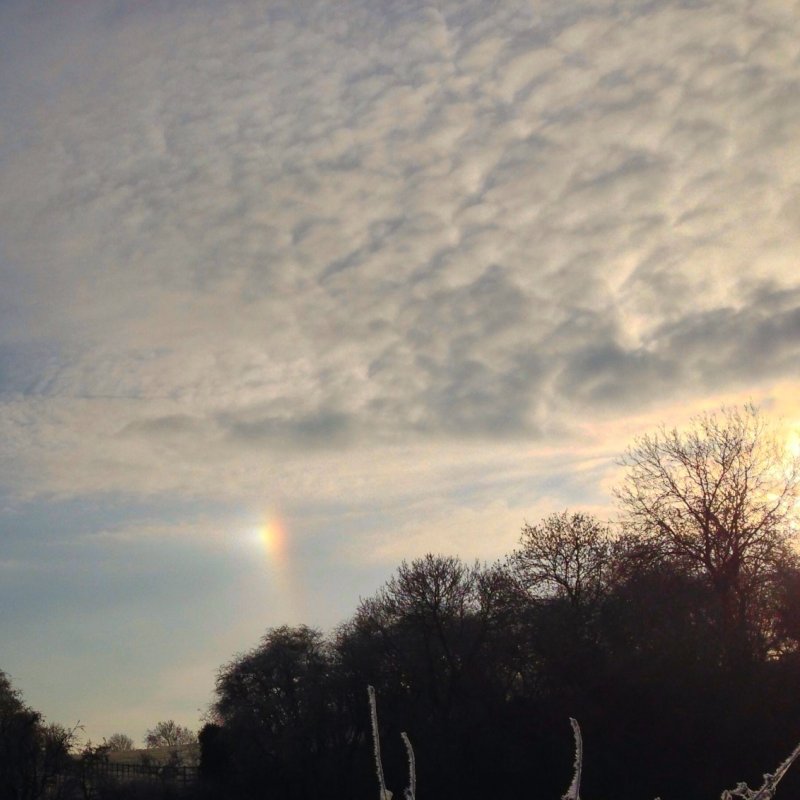 Sundog millionaire