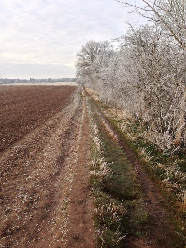 Crisp underfoot...