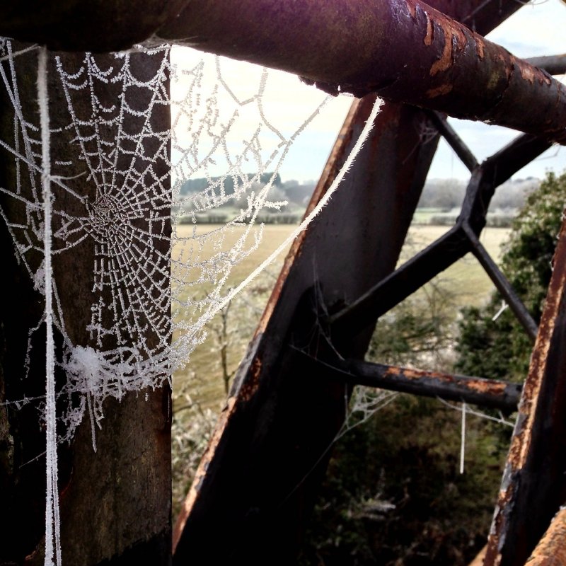 Theres magic in the web<br>12 December 2012 (451)