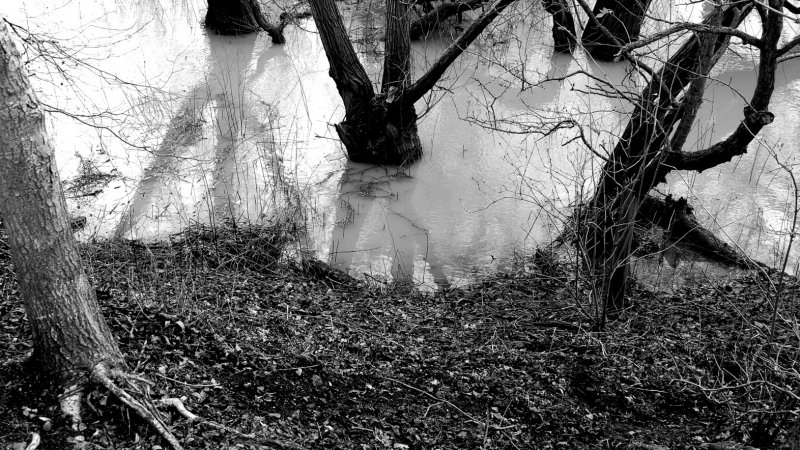 Sometime the flood prevails<br>30 December 2012 (458a)