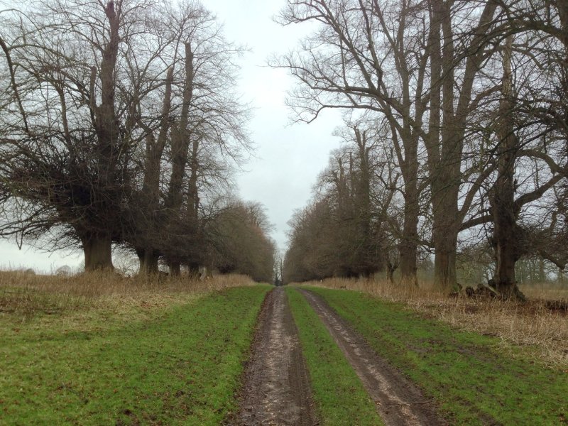 West Park