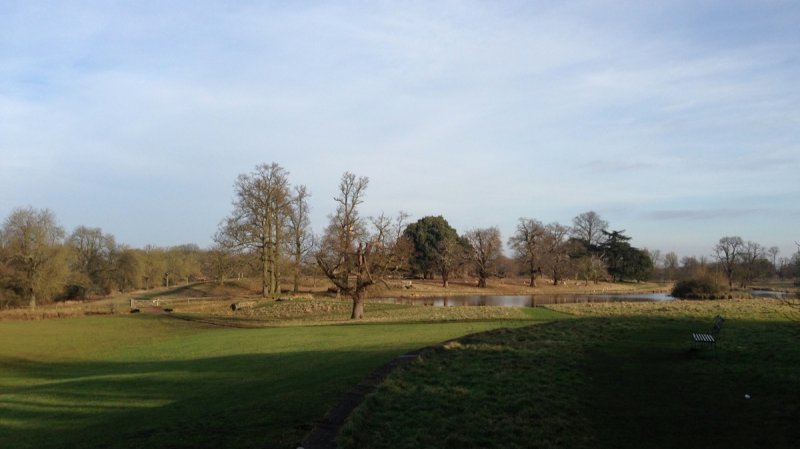 Parklife II
