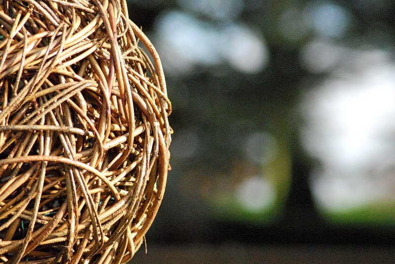 Intricacy II