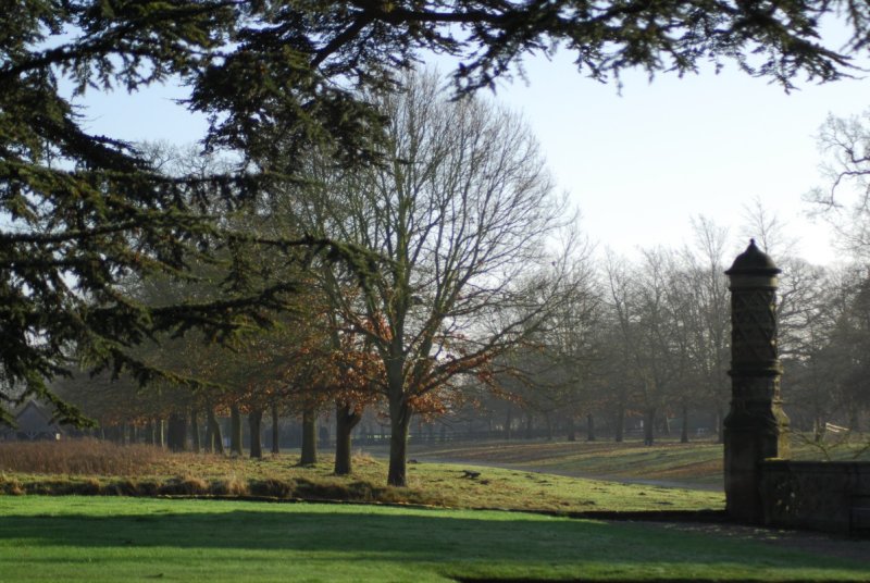 Towards Charlecote