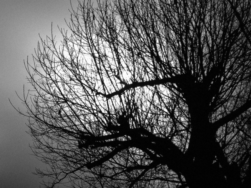 ...where no sun shines