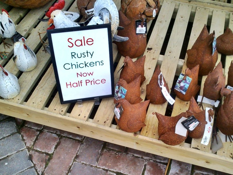 Rusty chickens...