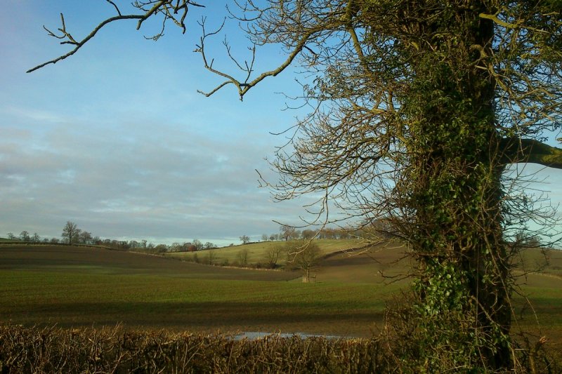 Towards Epwell