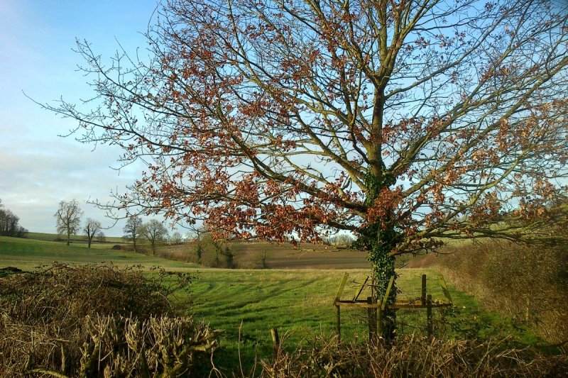 And fling my wanton arms<br>16 February 2013 (502)