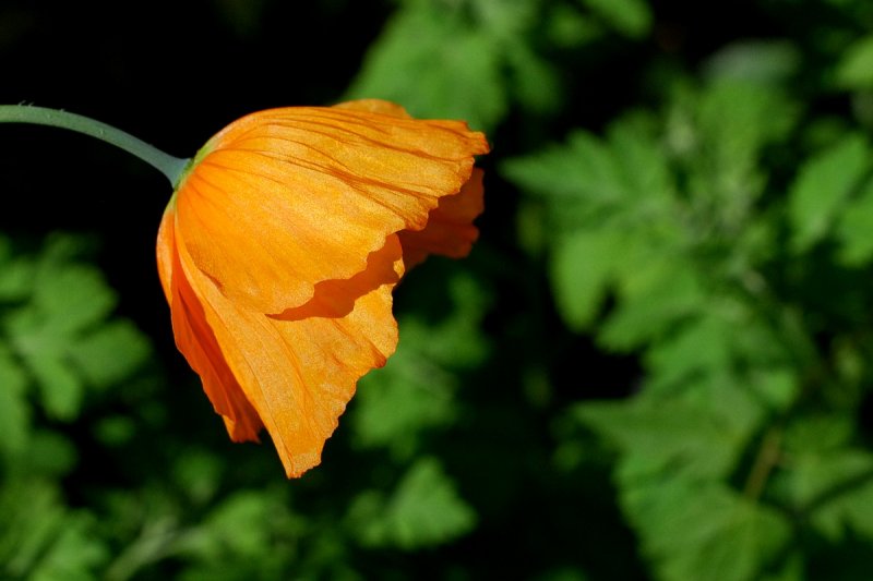 Thou owdst yesterday.<br>28 May 2012 (433)