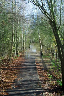 The path to/through the river...