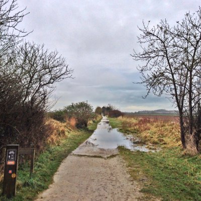 Chambers Crossing Halt (or not)