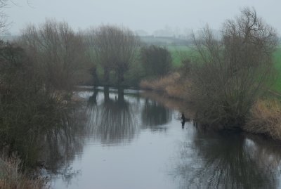 View from the bridge