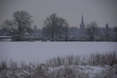 Distant towers I