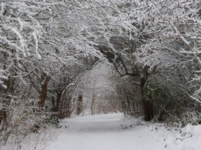 Walking in a winter wonderland