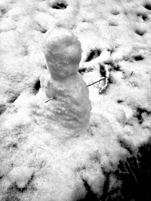 Snow ghost...