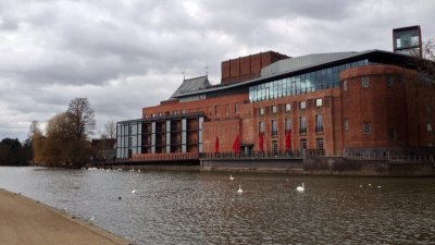 Swans and impending snow