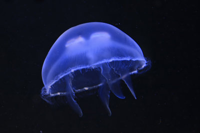 IMG_7869.JPG