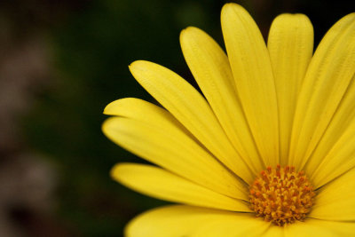 RuleofThirds