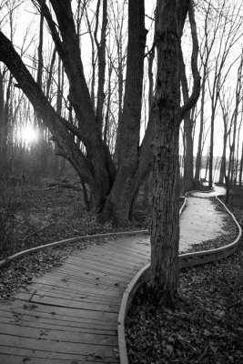 a dark path