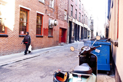 alleyWEB