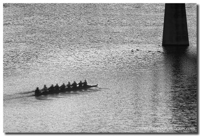 Sculling on Ladybird Lake Austin Texas