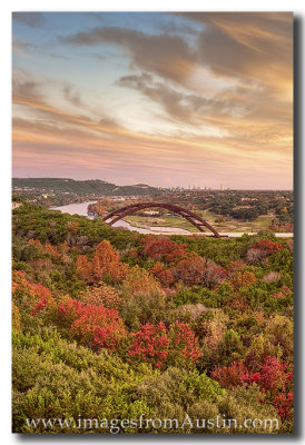 360 Bridge - Autumn Colors at Pennybacker Bridge