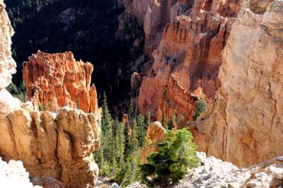 Cedar Breaks,Red Canyon,Bryce Canyon NP