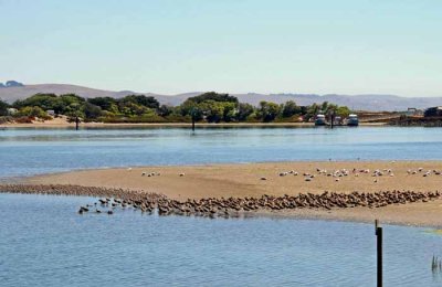 Bodega Bay  & The Sonoma Coast