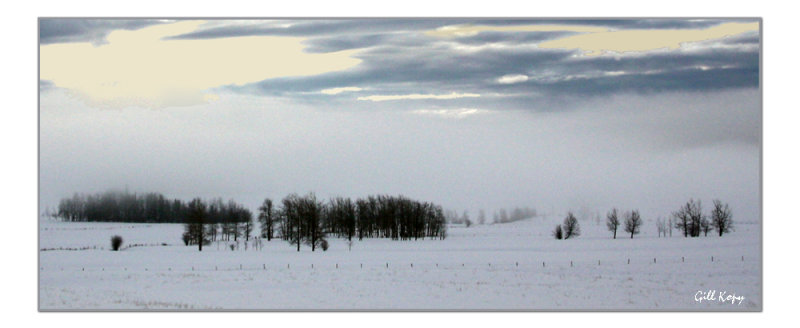 Snow Fields4.jpg