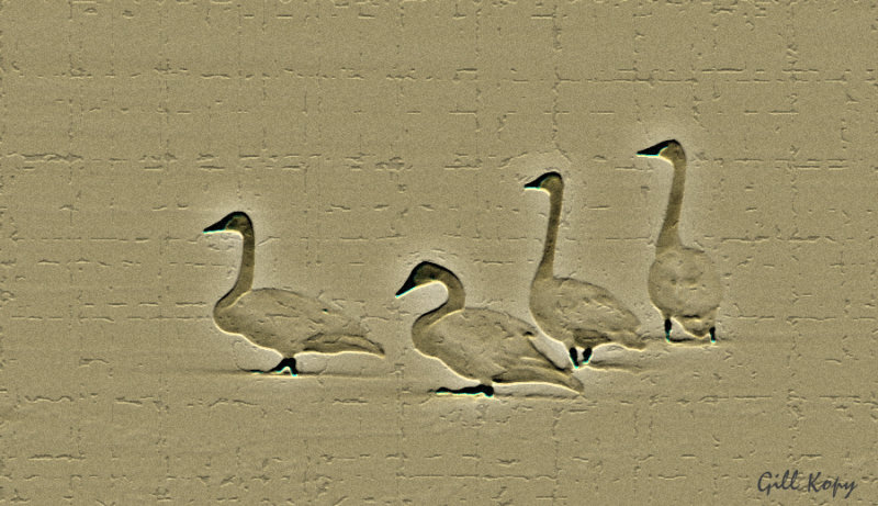 Swans - carved.jpg