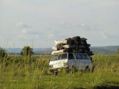 CIMG2822.JPG