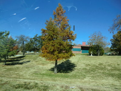 CIMG3270.JPG