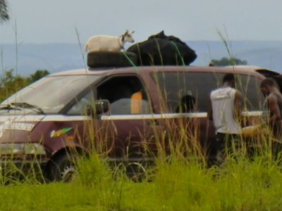 CIMG3236.JPG