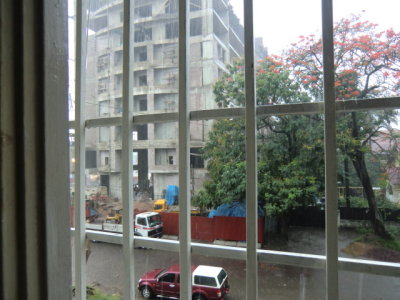 CIMG2961.JPG