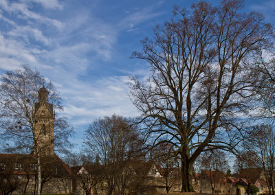 Schiehagen, zwischen den Stadtmauern  -  between the town-walls