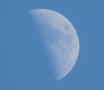 The Moon