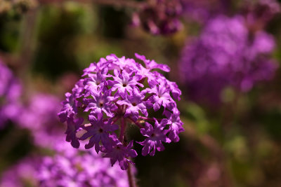 g2/67/34567/3/147419920.0R3Kstpj.jpg