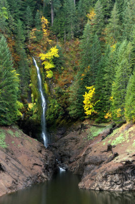Terwilliger Falls