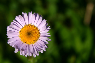 g2/67/34567/3/65707719.Egf85hjE.jpg
