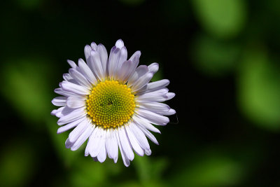 g2/67/34567/3/66097712.Ev7Jt0RZ.jpg
