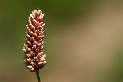 g2/67/34567/3/66225594.1kkr5j0F.jpg