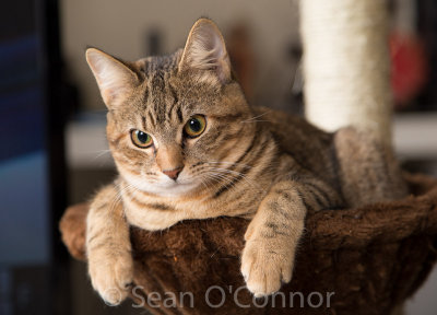 20130214-222113-21.jpg